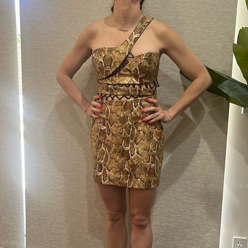 Showstopping dress ordered in revolve